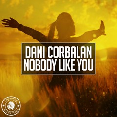 Dani Corbalan - Nobody Like You (Original Mix)