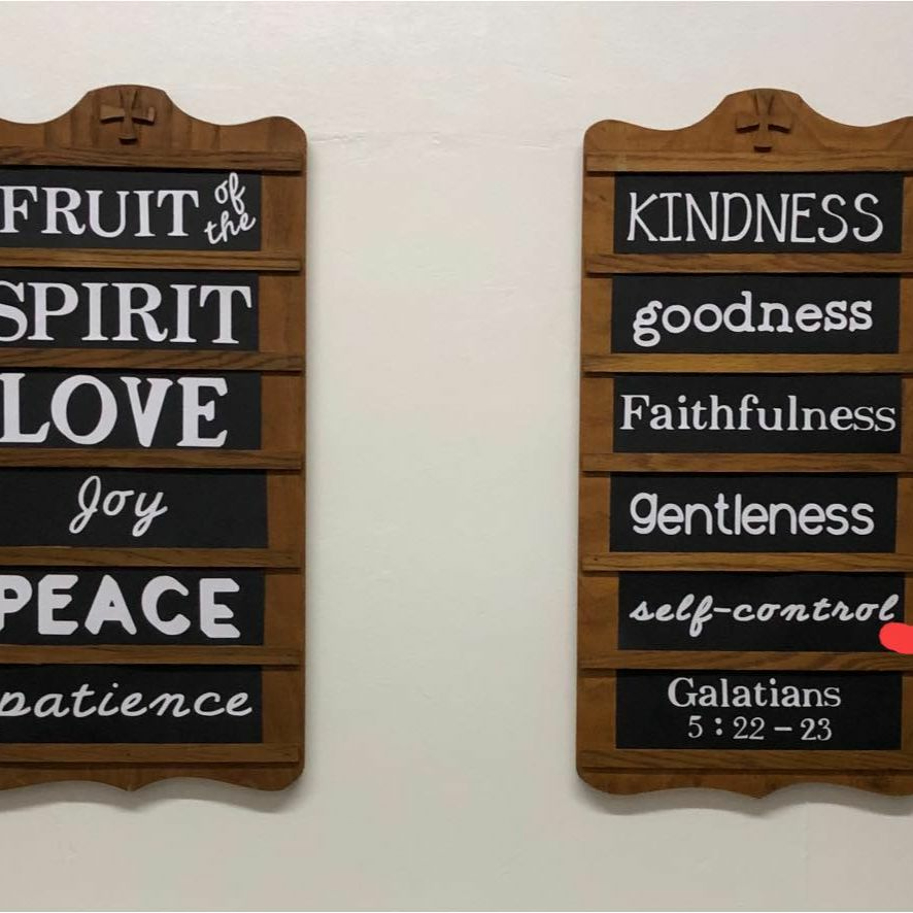 "Fruits Of The Spirit Self: Control" (9-11-22) episode artwork