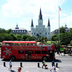 Review Special Price New Orleans Sightseeing City Tour
