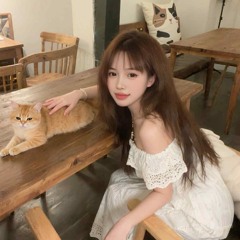Chẳng Thể Cảm Hoá Remix