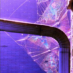 Rain 2002 ($undown)