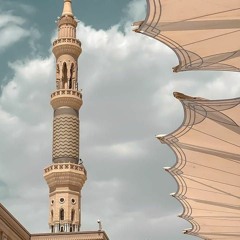 إنِّي ذَكرتُكَ فاخضرَّت بساتيني💚  ﷺ      عبدالعزيز آل تويم