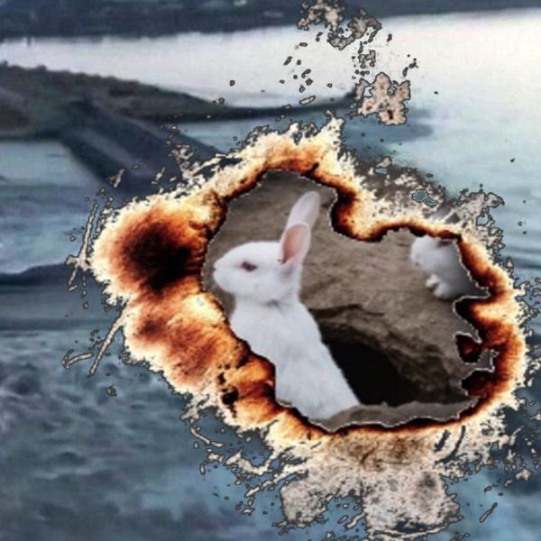 the playing card, also mCOPYCATostly white, they stick out brightly in the lake aTORCHPASSINGnd the