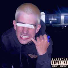P€T€RD0NT$L€€P - SAVAGERY