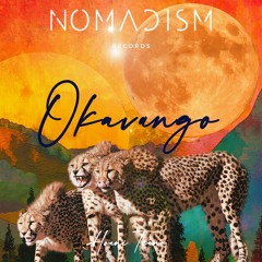 𝐏𝐑𝐄𝐌𝐈𝐄𝐑𝐄: Hoani Teano - Okavango [Nomadism Records]