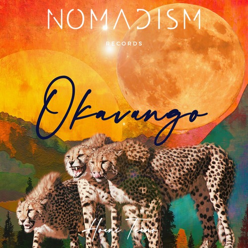 𝐏𝐑𝐄𝐌𝐈𝐄𝐑𝐄: Hoani Teano - Okavango [Nomadism Records]