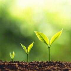 ضبط الذهن ج٣ - فليمون متواضع