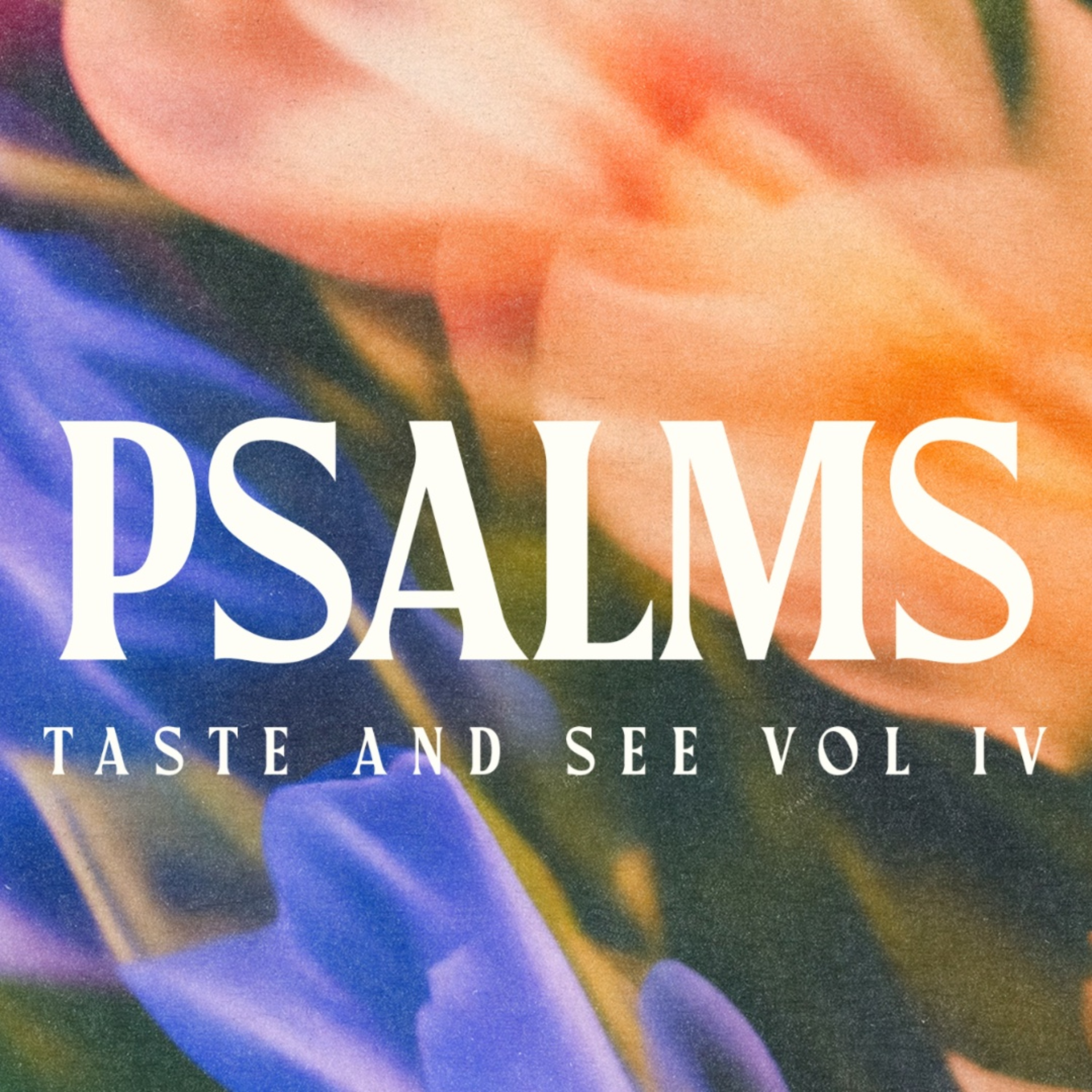 Taste and See Vol IV: Psalm 27 episode artwork