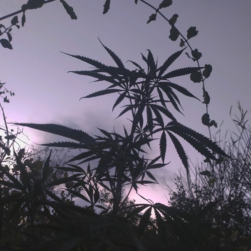 Opressed Rhythm Vol.1 eKZo / XankletaSound