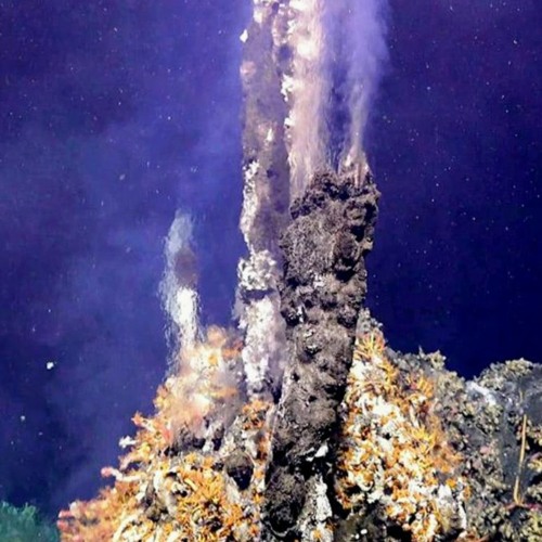 Deep Ocean Vents