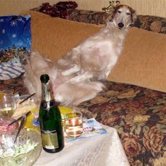 stfu (takouri +sutoresu +kionako)