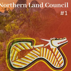 Podcast 48:  NLC 1 - Understanding the Northern Lands Council