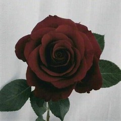 ℜ∀W - ҳ̸Ҳ̸ҳtract (Beat: M4niAc)