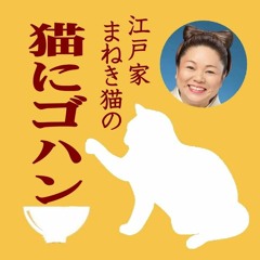 猫にゴハン「Blues都々逸」No. 258  女芸人