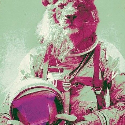 Disoriented mix