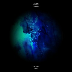 PREMIERE : Amin - Visibilio (Original Mix) [Wood Limited]