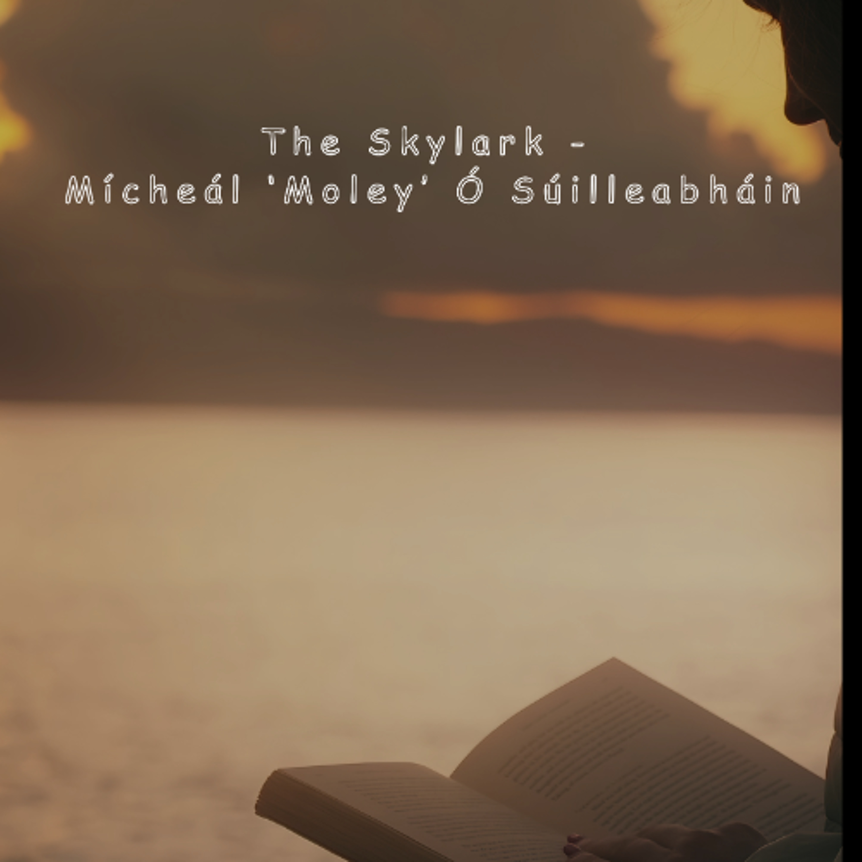 Poetic Keys An Ode to County Clare - The Skylark [O Suilleabhain]