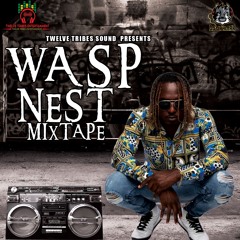 Wasp Nest Mixtape