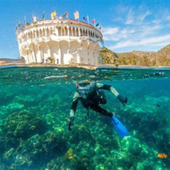 Best Places To Snorkel In California Prices Reviews