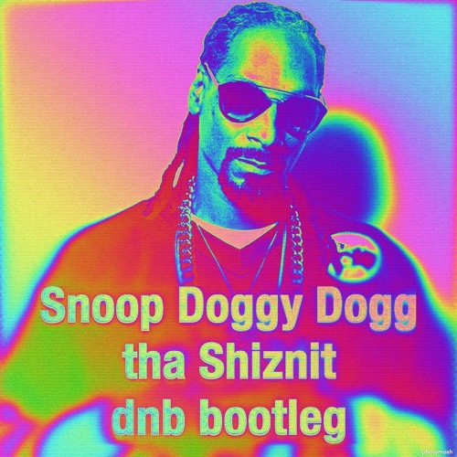 Snoop Doggy Dogg - Tha Shiznit （dnb bootleg）