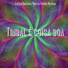 TRIBAL É COISA BOA (Fellipa Barbato, Marcio Peron Mashup)