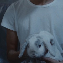 From where i'm standing