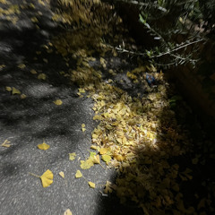 接吻-田島貴男 カバー