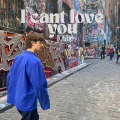 i cant love you - bowdo