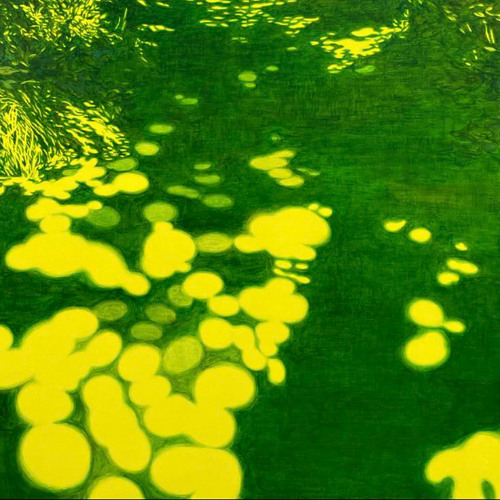 @ ERRORPORT _ SENSUS 2024