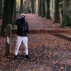 HVS - FLELUWE
