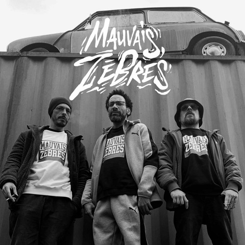 Mauvais Zebres - Brouillon Bruyant (single Edit)