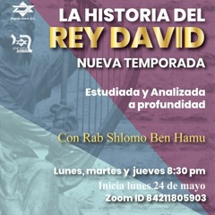 LA HISTORIA DEL REY DAVID 08- CORONAN A DAVID EN JEBRON