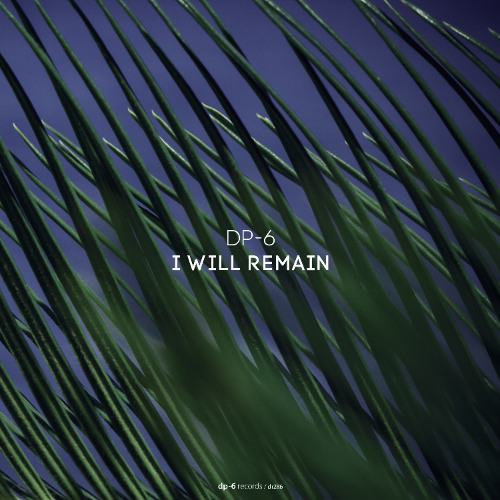 DP-6 - I Will Remain [DP-6 Records, DR286]