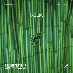Opificio Dataflow #32: INSOMNIE w/ Mélia (Fritto FM)