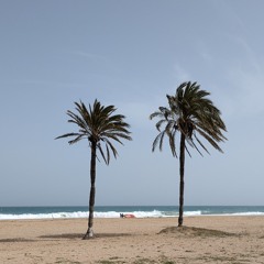 Second Hand Grooves - For Hot Beach Days