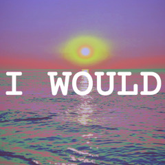 I WOULD