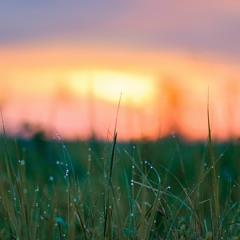 Paul Chambers - 'The Reunion'