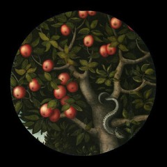 Growing Love | Lofi House Mix