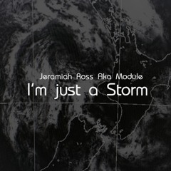 I'm just a Storm (Featuring Myself)