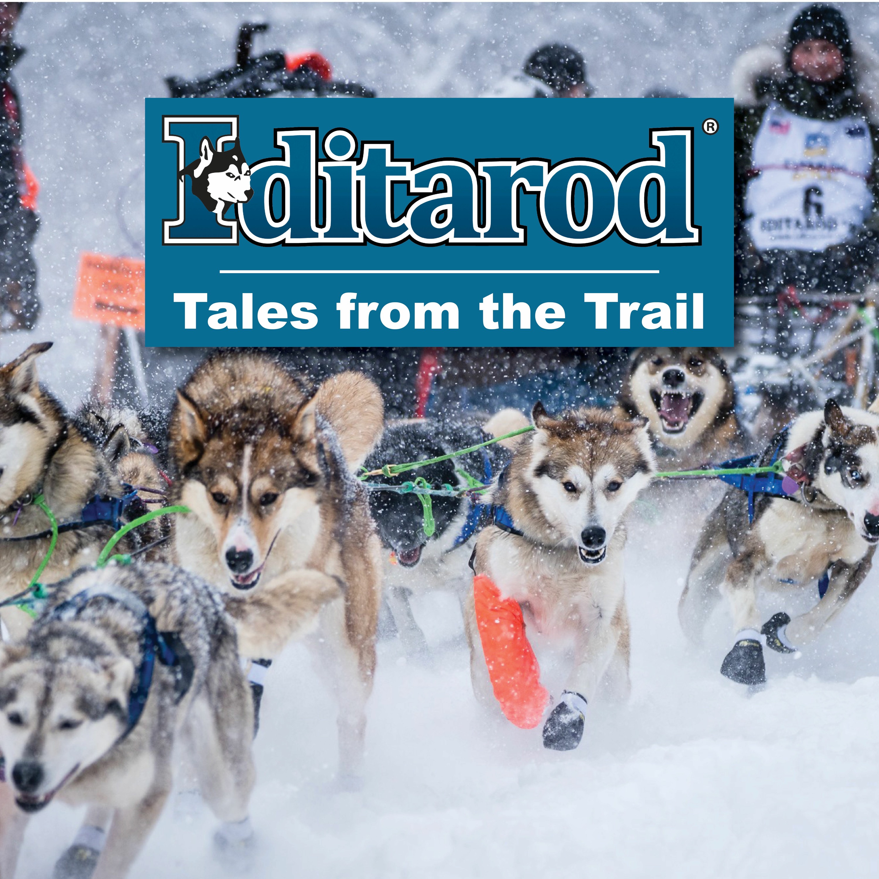The Iditarod Tales from the Trail