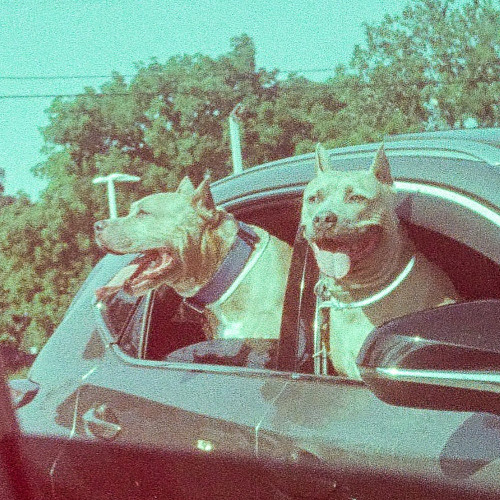 dis da last beat im posting on hea first 50 is all yall get lmao prod tape otw dummy