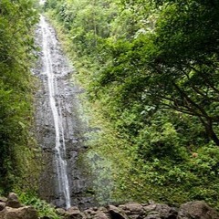 E Malama