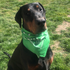 House of Prayers - Don_t look any Further (NWN Remix)