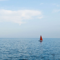 I TOOK A CHANCE ON LOVE