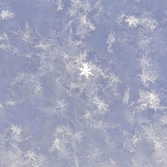 얼음🧊(Feat.추윤제)