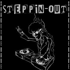 SHAKE THE RAVE (2-STEP EDIT) [STEPPIN-OUT]
