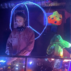 Electronic Hippie Rave [DJ set - elect:reec]
