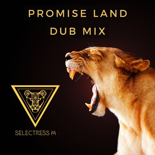 Promise Land Dub Mix