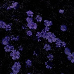 Dónde Quedará? (en vivo)