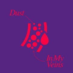 N.O.Y - Dust In My Veins (Extended Mix)